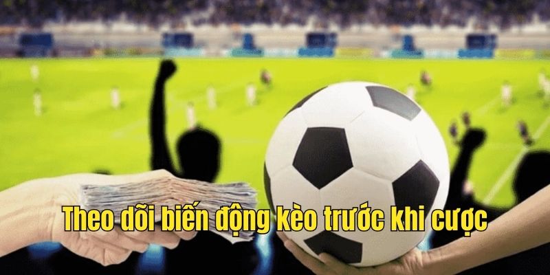 Theo dõi biến động kèo rồi mới vào tiền