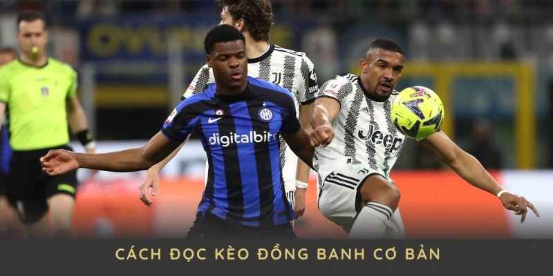 Hướng dẫn cách đọc kèo đồng banh cơ bản dành cho người mới bắt đầu