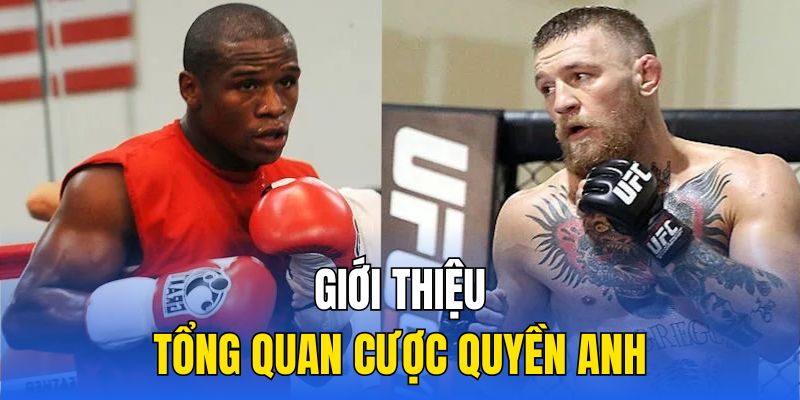 Giới thiệu tổng quan cược quyền anh