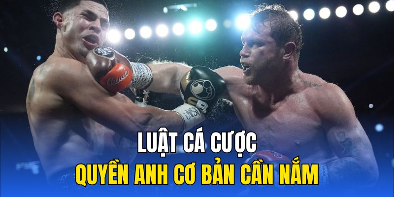 Luật cá cược quyền anh cơ bản cần nắm